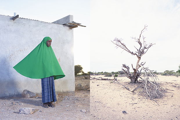 Photograph by Felicity McCabe of 11-year-old Ilhan Abdillahi Geel near Gargarra, Somaliland