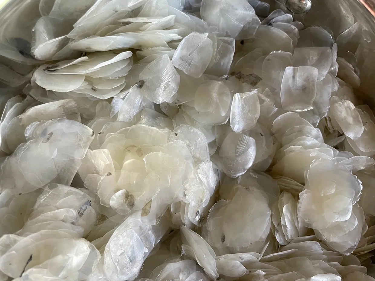 Bequin raw material fish scales