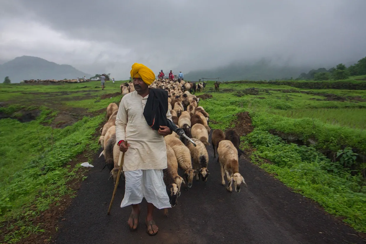 Desi-Oon Wool Traceability Framework - Malshej Ghat - Getting ready to cross the ghat.