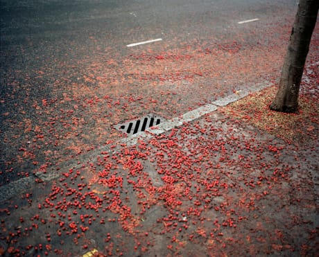 Berries by Zed Nelson