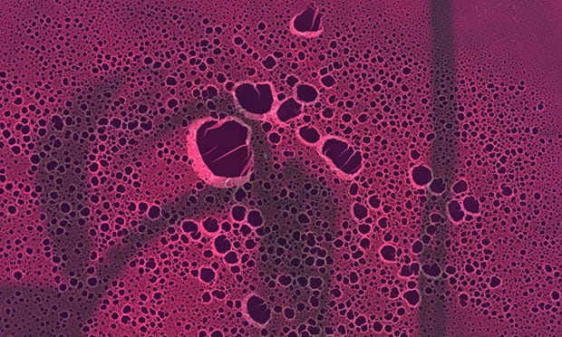 Detail from Pussy 5 by Stephen Gill