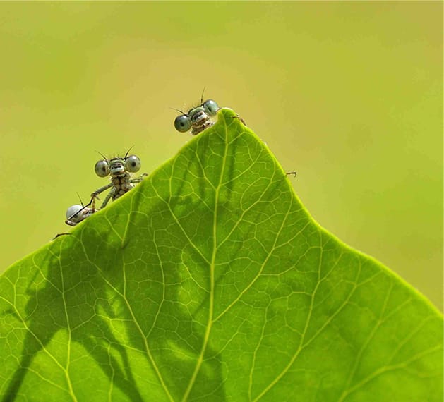 Is it her by Carolyne Barber