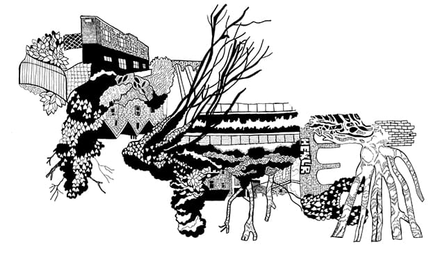 Park land. Image: Alice Stevenson