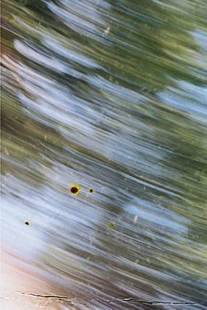 Surface of the River Lea. Photograph: Rob St John