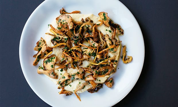 Exquisite: A wild mushroom dish