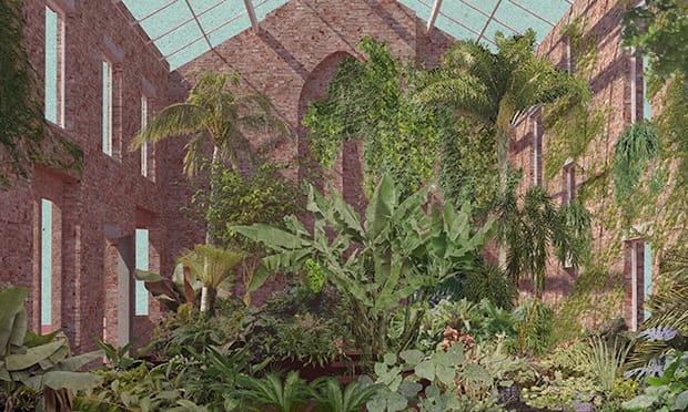 Greenhouse view: Granby Four Streets by Assemble. Photograph: Assemble
