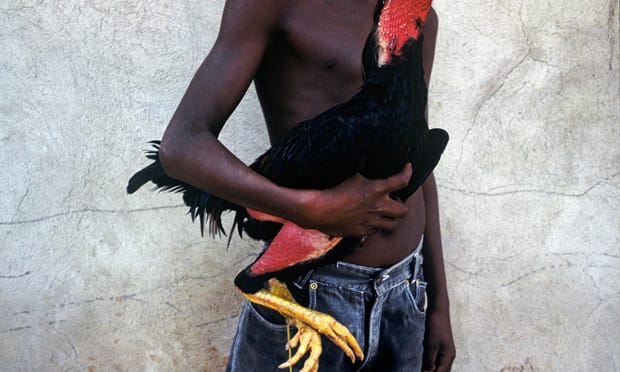 With Rooster. © Laróyè, 1980-2000 © Instituto Mario Cravo Netto / Instituto Moreira Salles