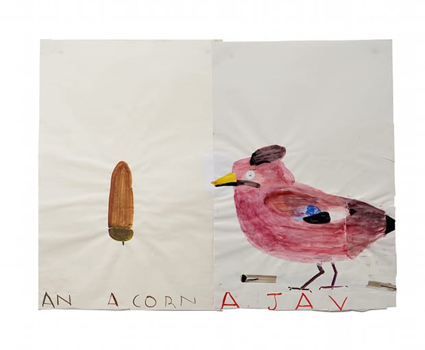 Acorn & Jay Rose Wylie 620