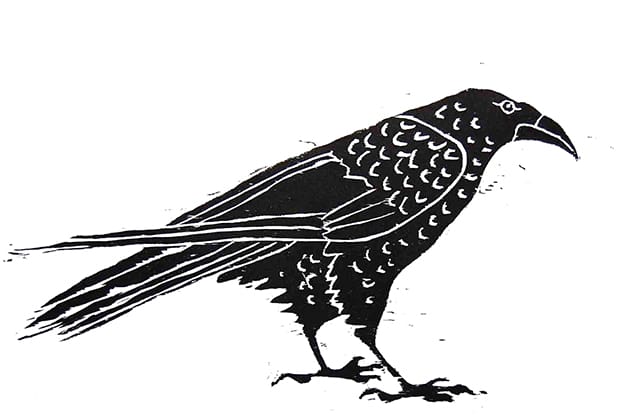 Alice Sielle, Raven facing right 620