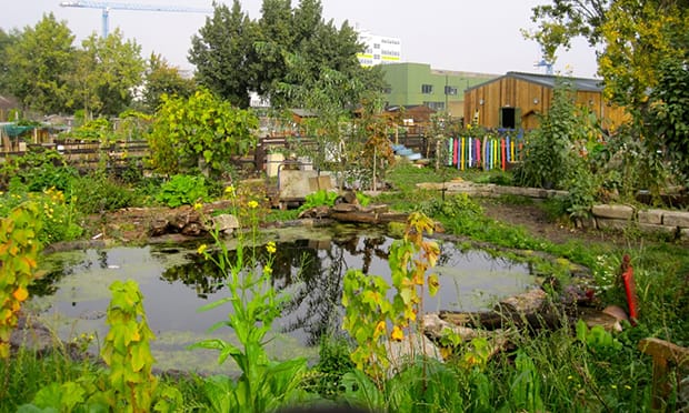 Stepney City Farm