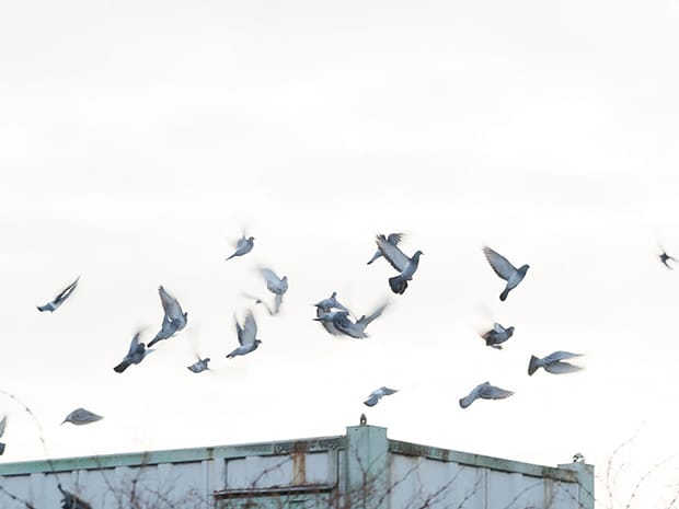 Photograph: Freya Najade