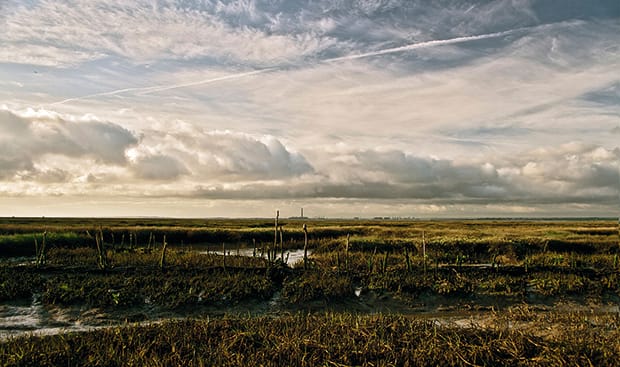 Thames Estuary. Photograph: Simon Fowler