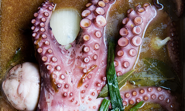 Octopus at Morito